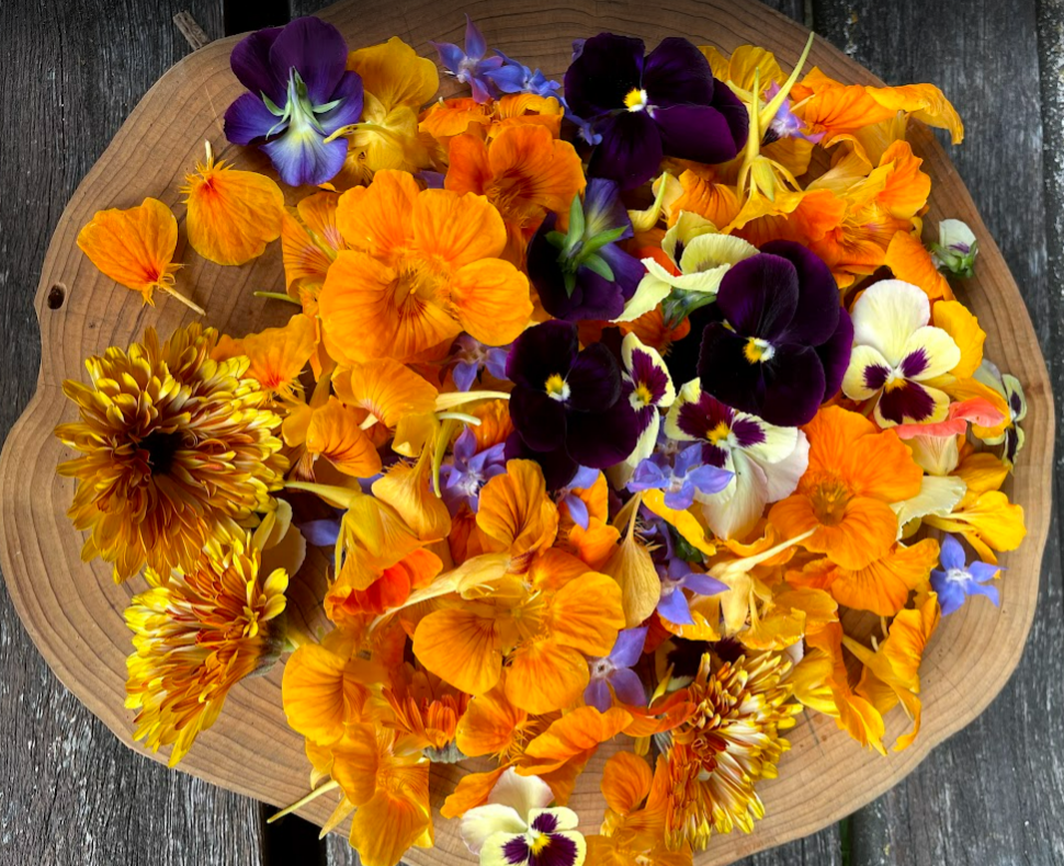 Edible Flower Mix 6-pack