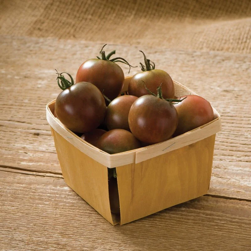 Tomato Seedling 4 inch pot: Black Cherry (Cherry)