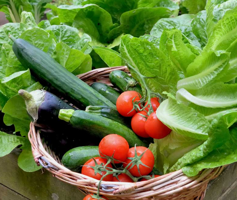 Victory Garden In a Box