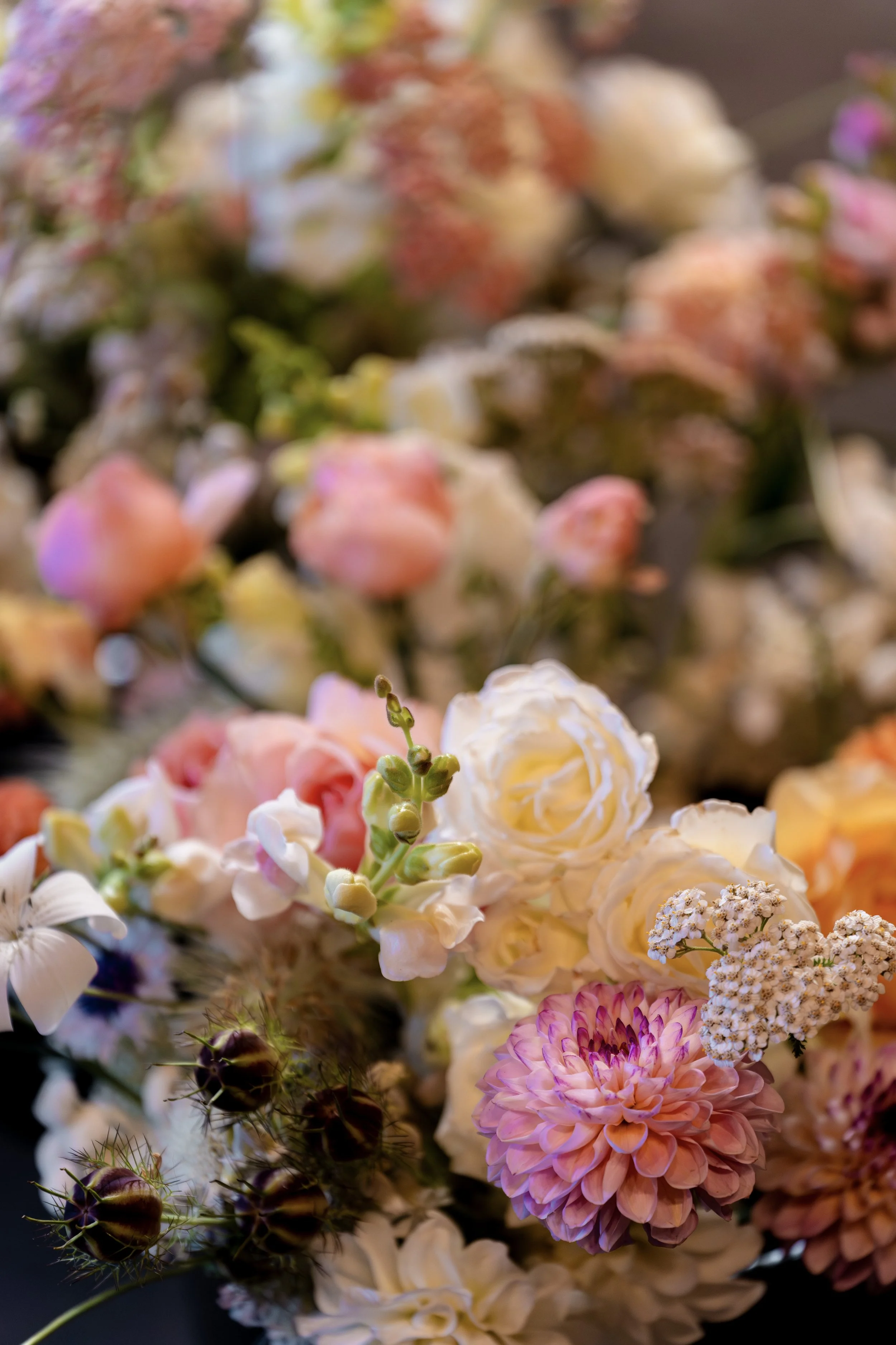 Close-up of various colorful flowers, including pink, white, and purple blooms. Photo by Tom Van Photography