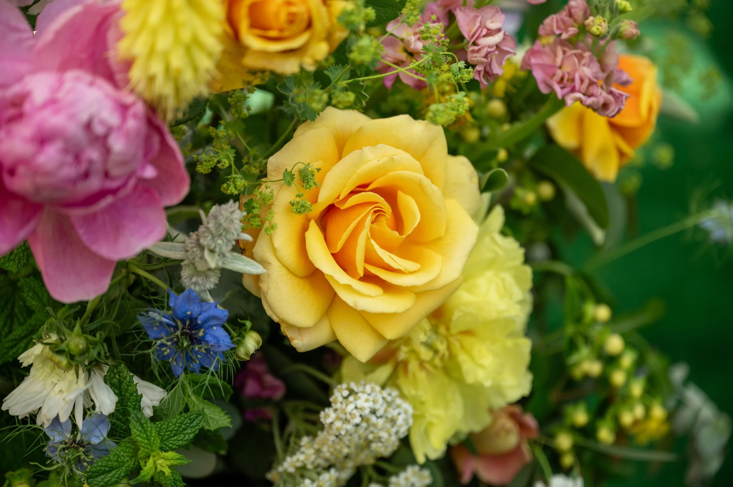 A vibrant bouquet of various colorful flowers including orange roses, pink peonies, blue nigella, and green leaves.

Photo by Red Letter Days
Venue: Vintage Gardens in Ridgefield, WA