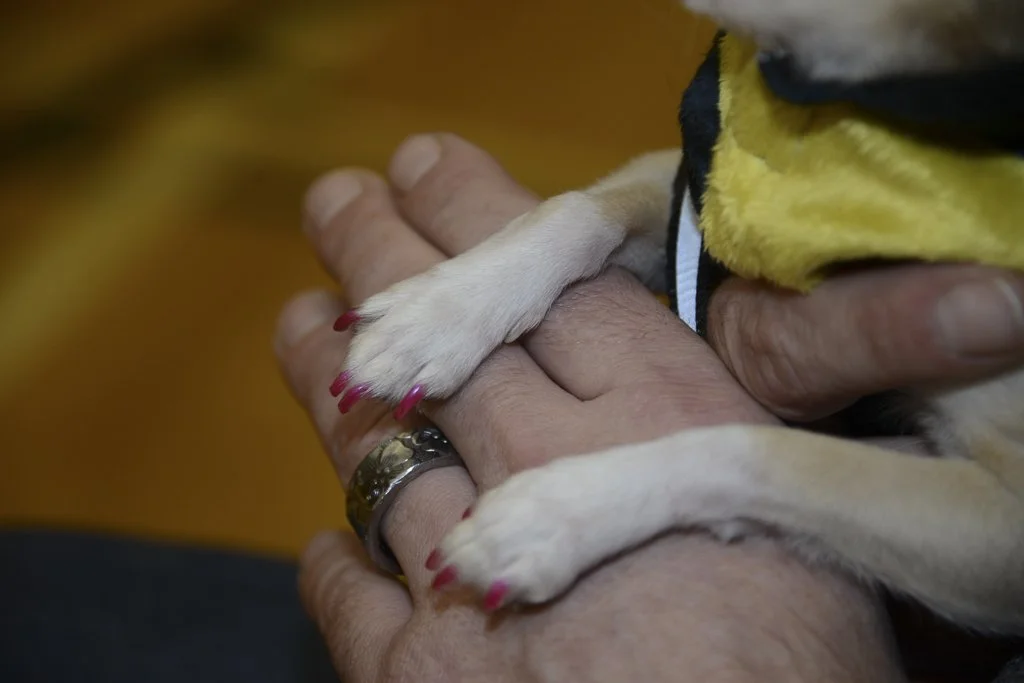 Day Three 2025 -14.JPG