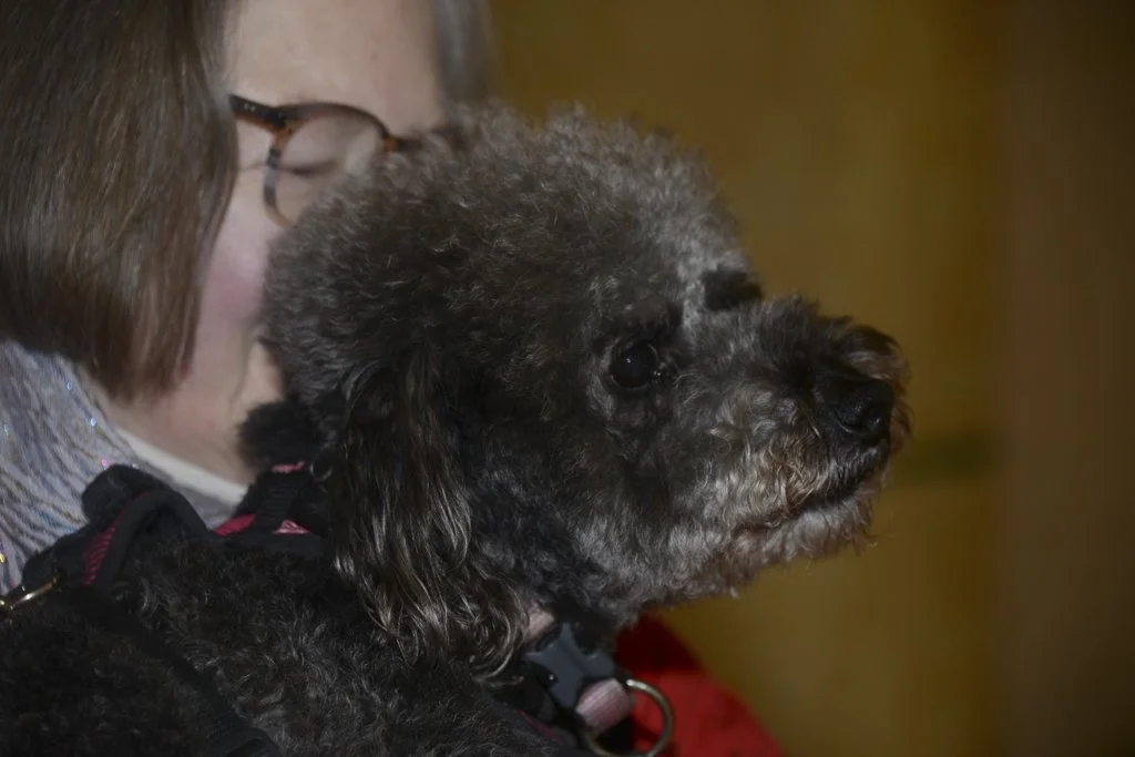 Day Three 2024-3.JPG