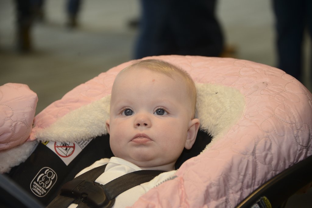 Day Two 2025 -28.JPG