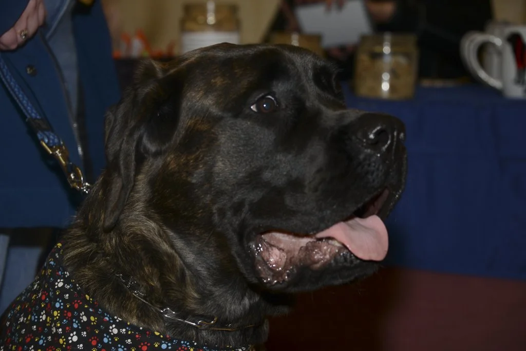 Day Three 2024-4.JPG