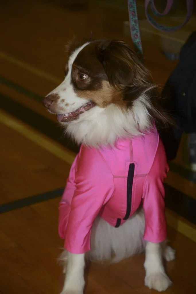 Day Three 2024-6.JPG