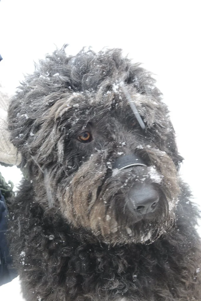 Day Four 2024 -53.JPG