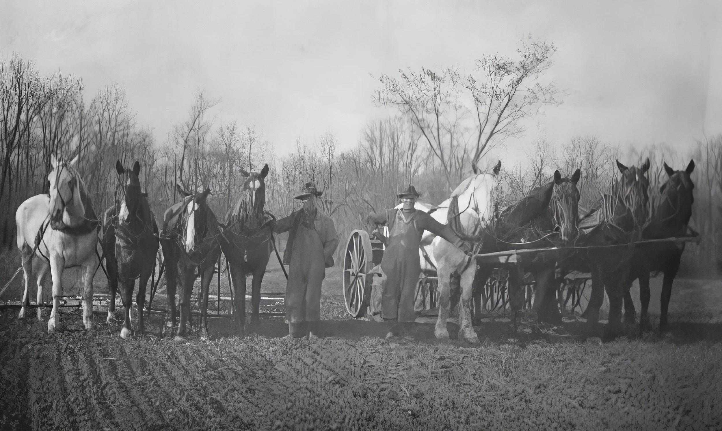 1920s - John & Oli Johnson at seeding time.