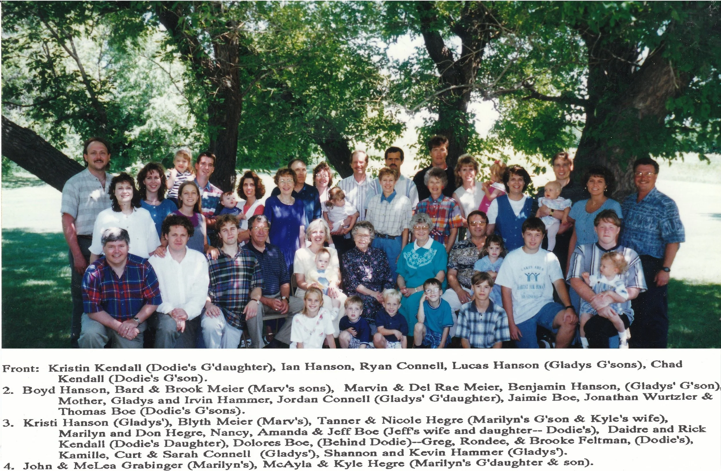 1996 - Louis & Mae Meier's family (with names).
