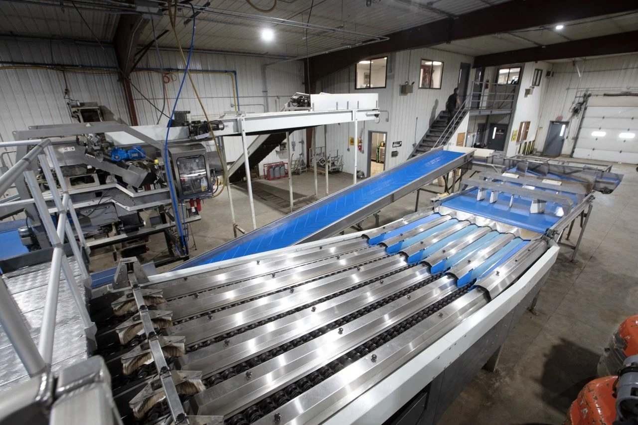 2025 - Cookbook photo shoot (John Borge Studios) - automated grading line for potatoes.