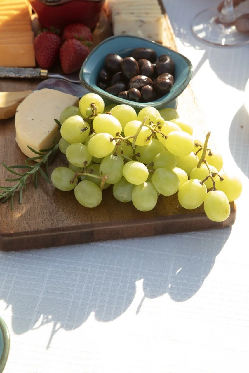 2025 - Cookbook photo shoot (John Borge Studios) - our table set up at John & Kathie Johnson's farm.
