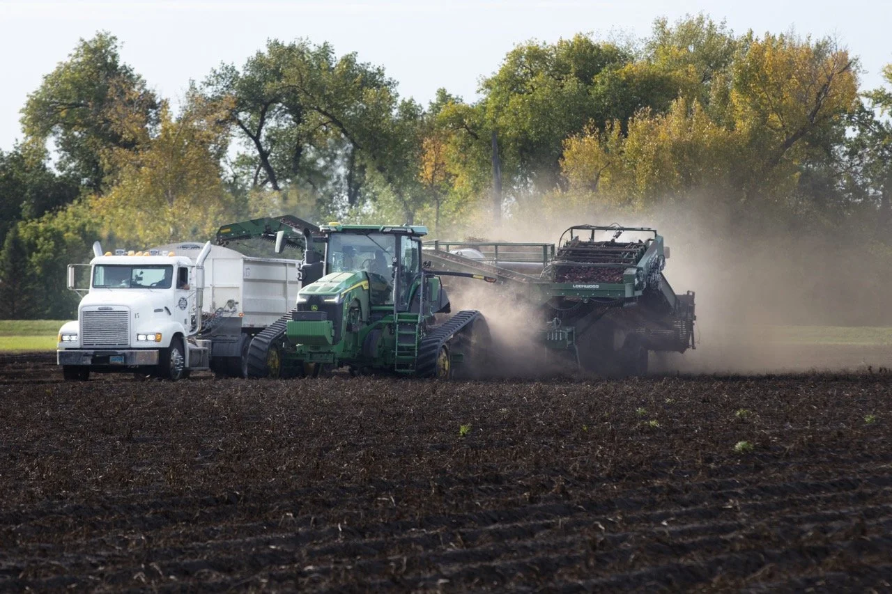 2025 - Cookbook photo shoot (John Borge Studios) - potato harvest.