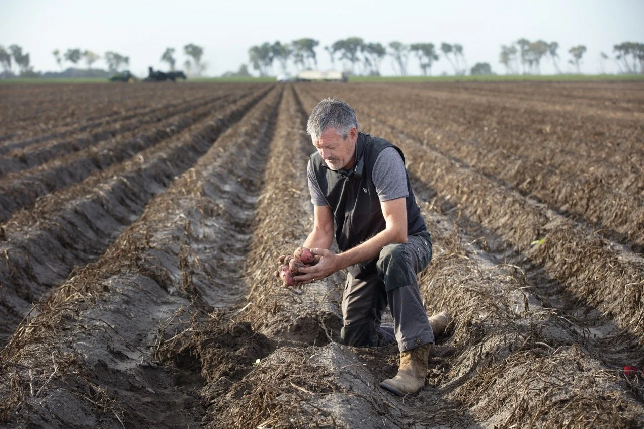 2025 - Cookbook photo shoot (John Borge Studios) - TJ Hall in potato field.