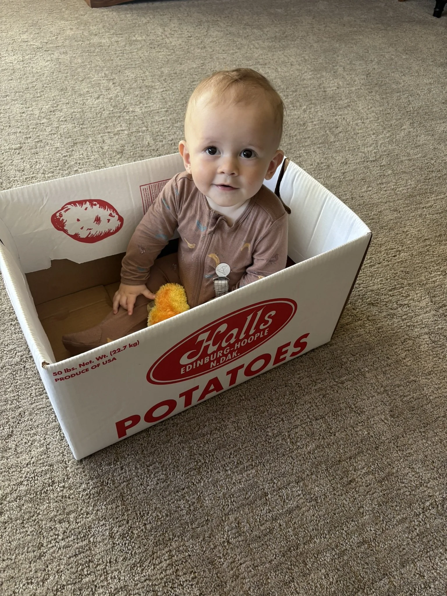 2026 - Brooks Boe.