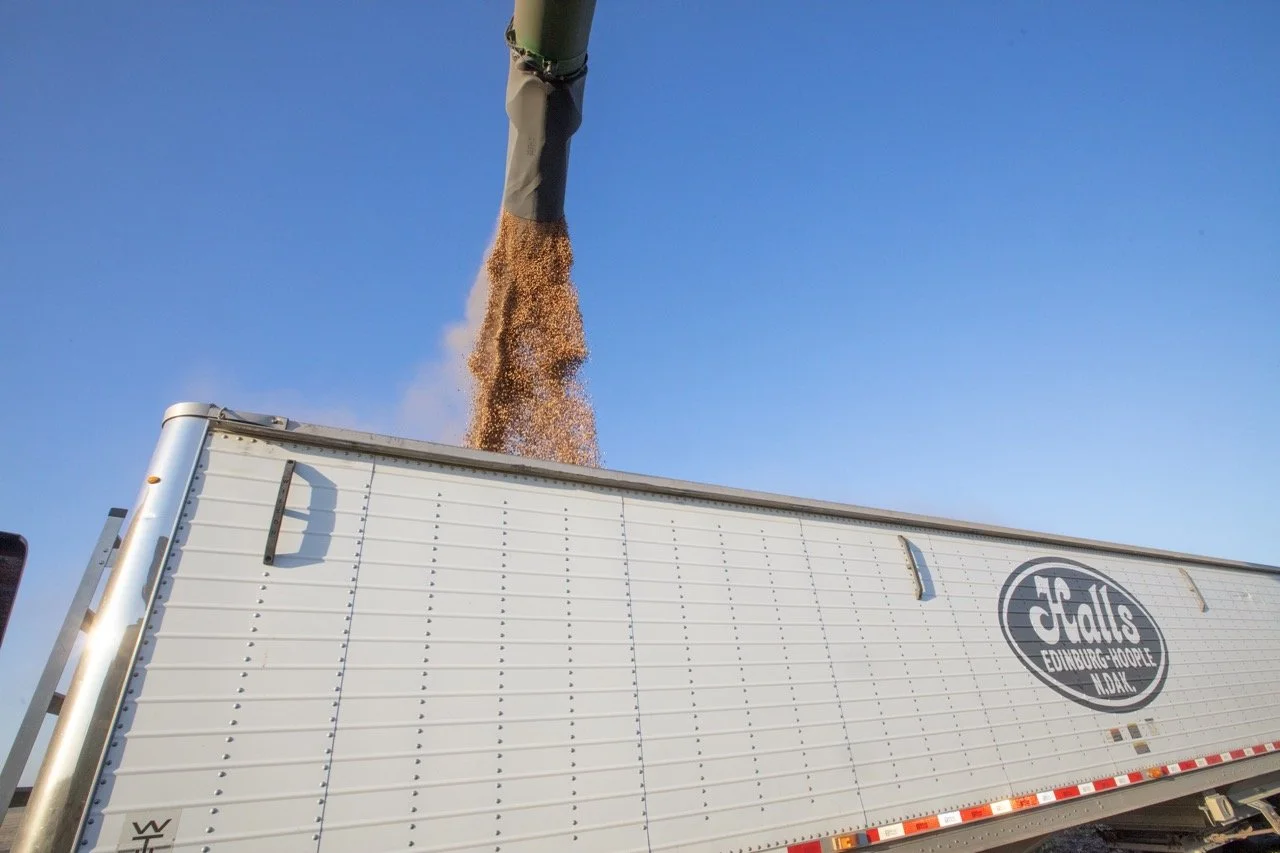 2025 - Cookbook photo shoot (John Borge Studios) - pinto bean harvest.