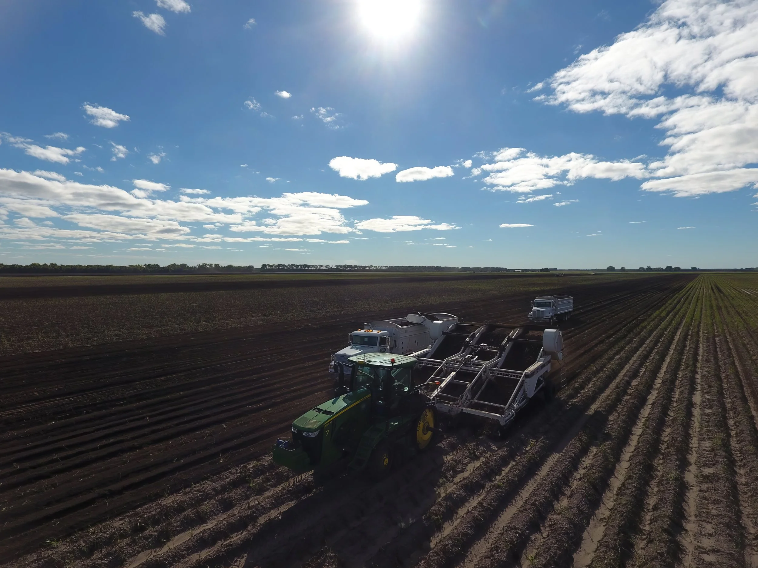 1990s - 6-row potato harvester.