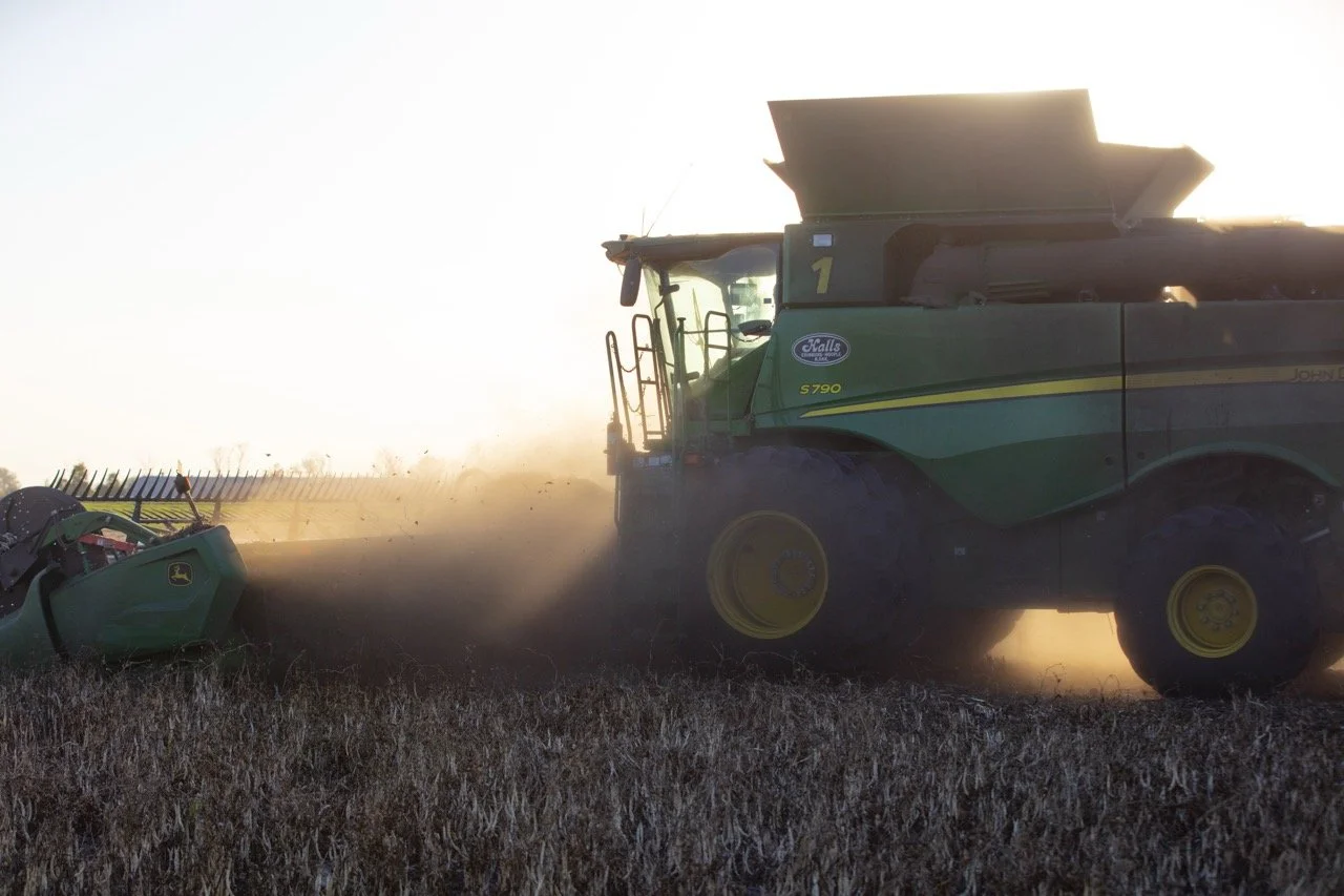 2025 - Cookbook photo shoot (John Borge Studios) - pinto bean harvest.