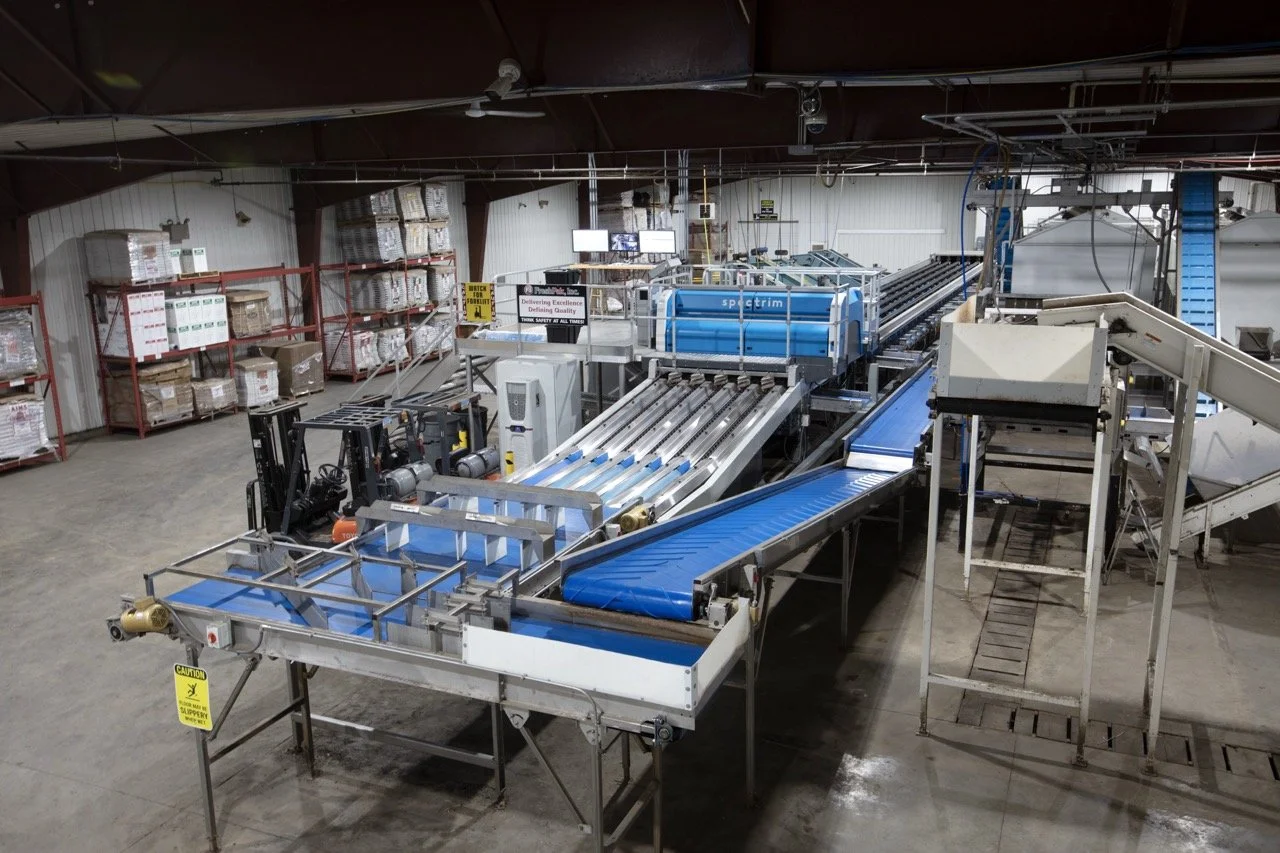 2025 - Cookbook photo shoot (John Borge Studios) - automated grading line for potatoes.