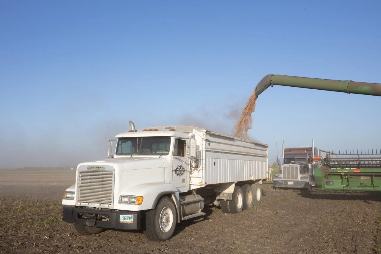 2025 - Cookbook photo shoot (John Borge Studios) - pinto bean harvest.