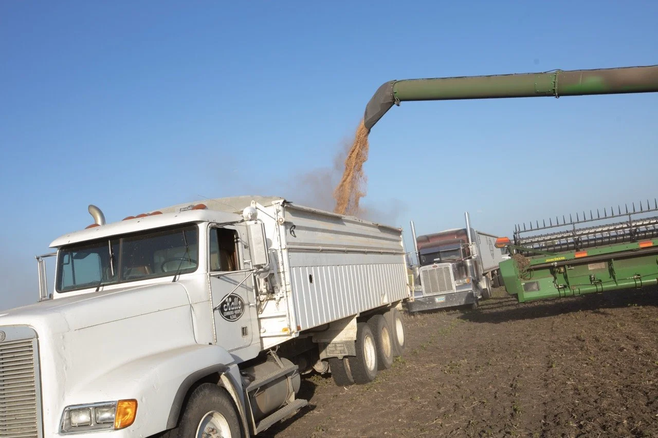 2025 - Cookbook photo shoot (John Borge Studios) - pinto bean harvest.