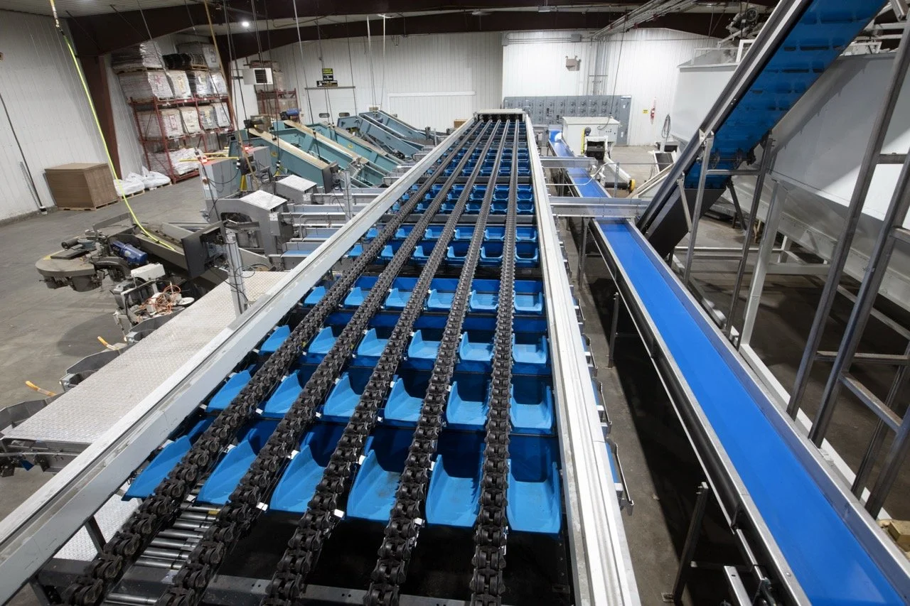 2025 - Cookbook photo shoot (John Borge Studios) - automated grading line for potatoes.