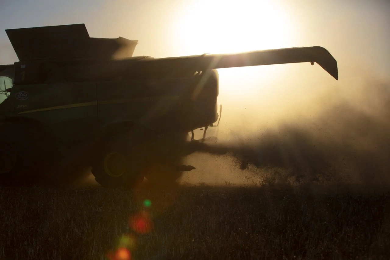 2025 - Cookbook photo shoot (John Borge Studios) - pinto bean harvest.