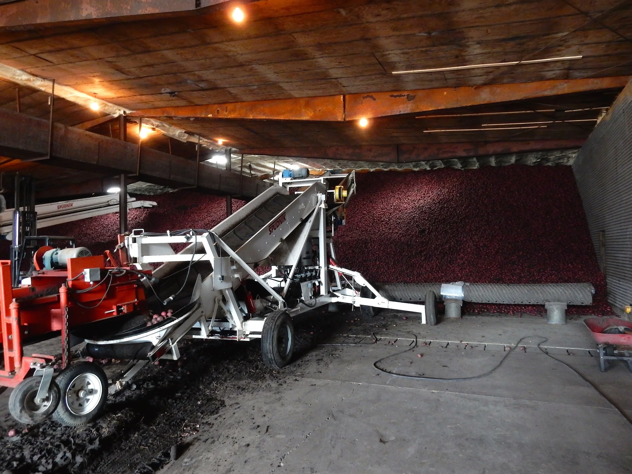 2015 - Potato warehouse.