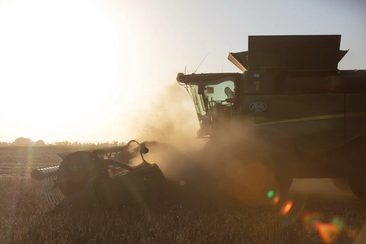 2025 - Cookbook photo shoot (John Borge Studios) - pinto bean harvest.