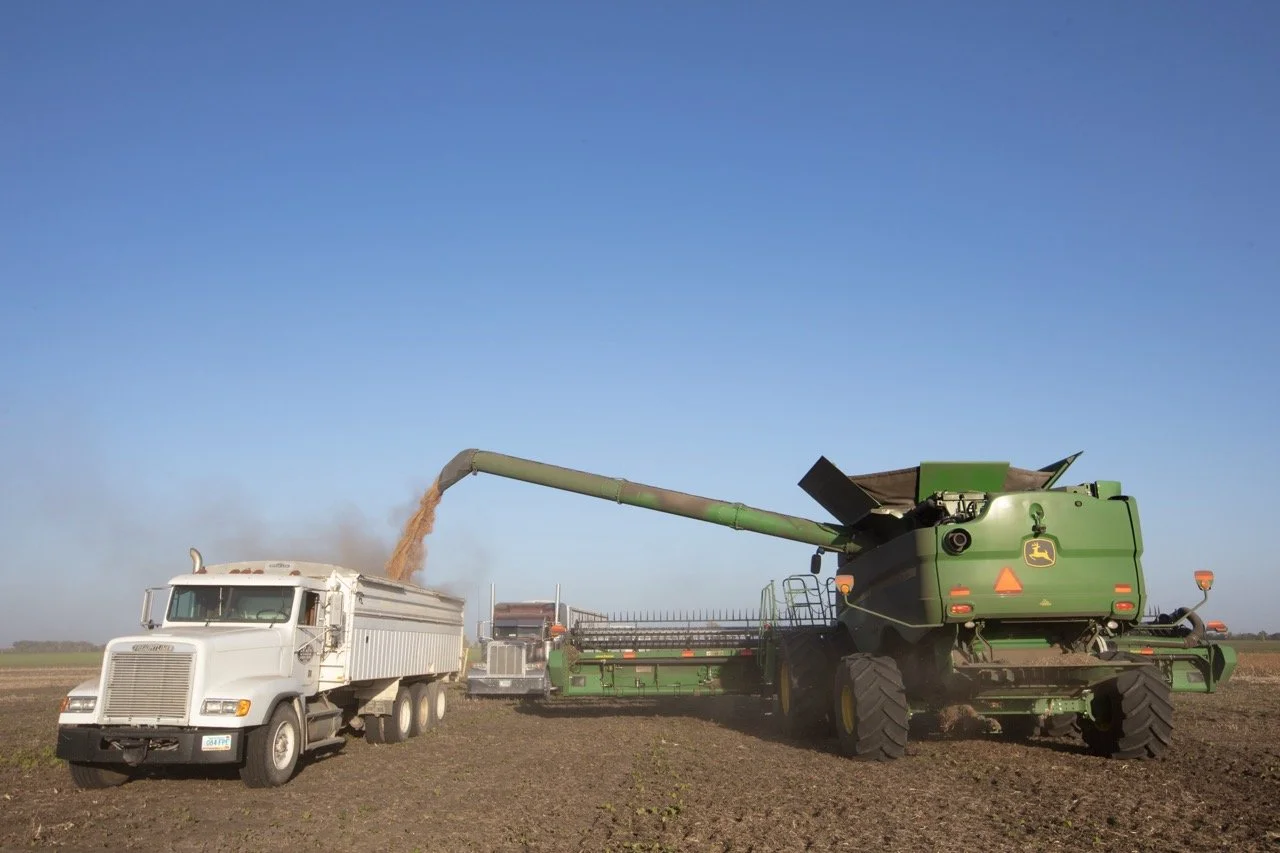 2025 - Cookbook photo shoot (John Borge Studios) - pinto bean harvest.