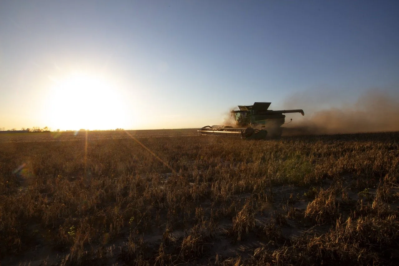 2025 - Cookbook photo shoot (John Borge Studios) - pinto bean harvest.