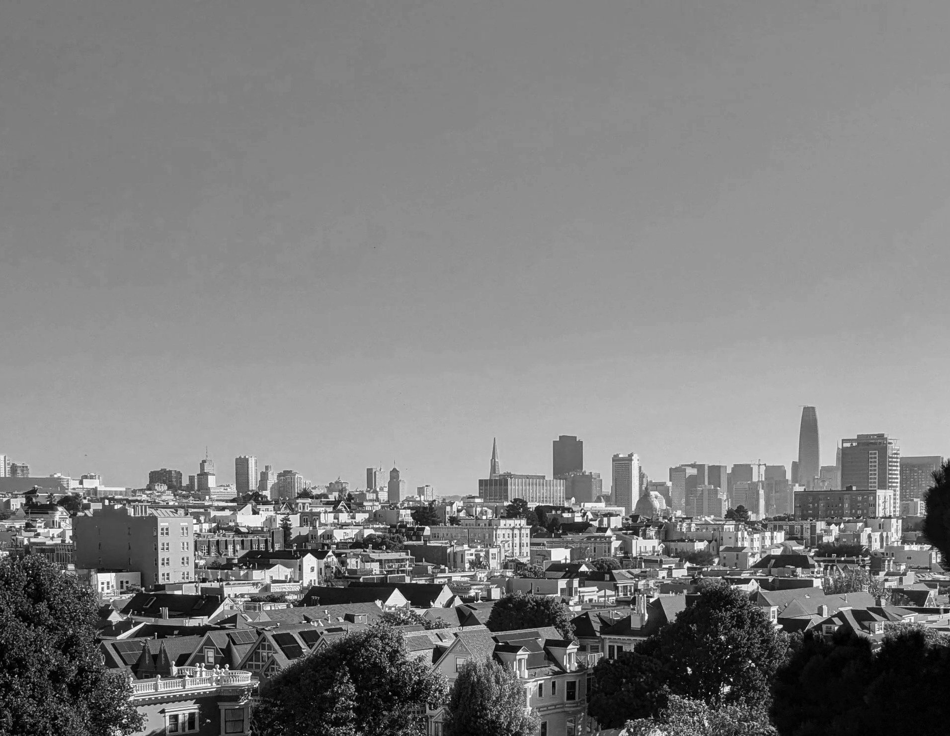 SF+Skyline.jpg