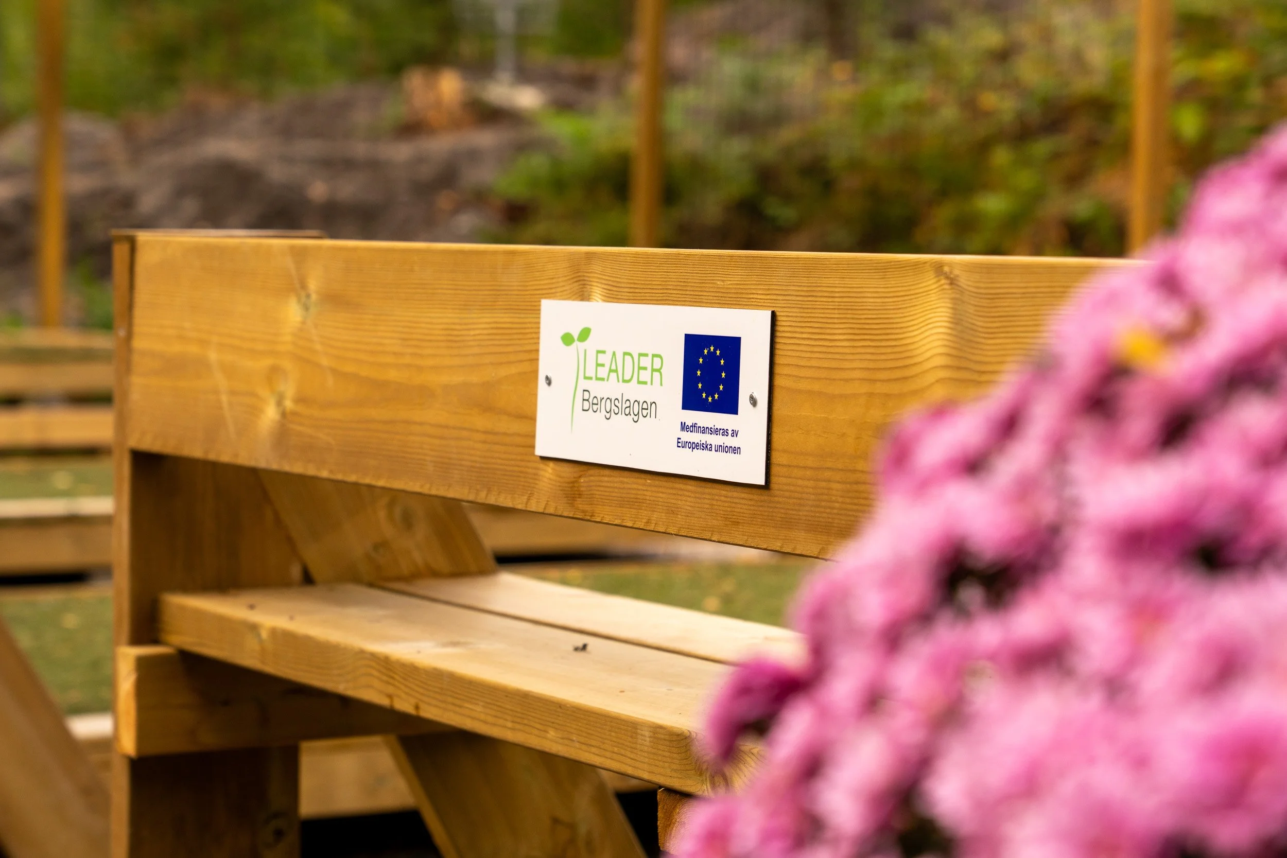DSC02716.jpg