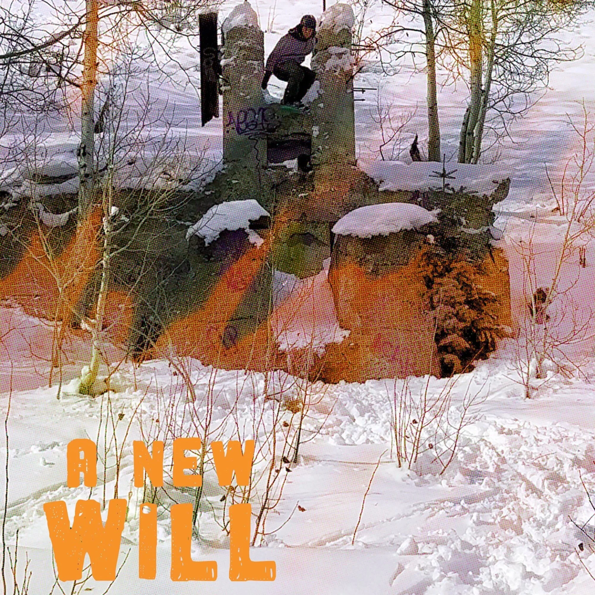 Zine: A New Will
