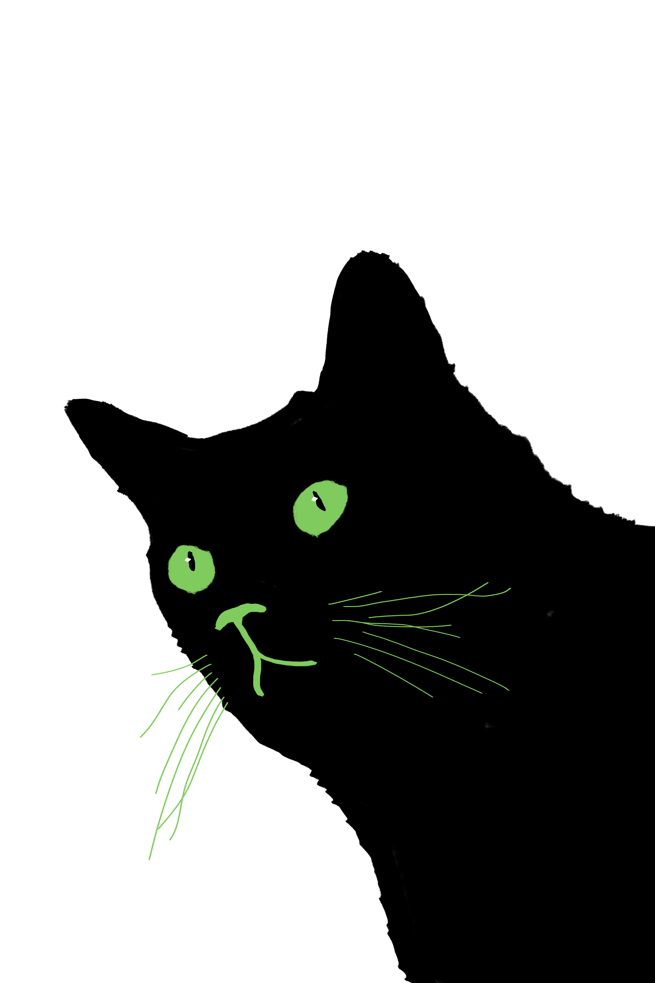KuroNekoDigitalDrawing.png