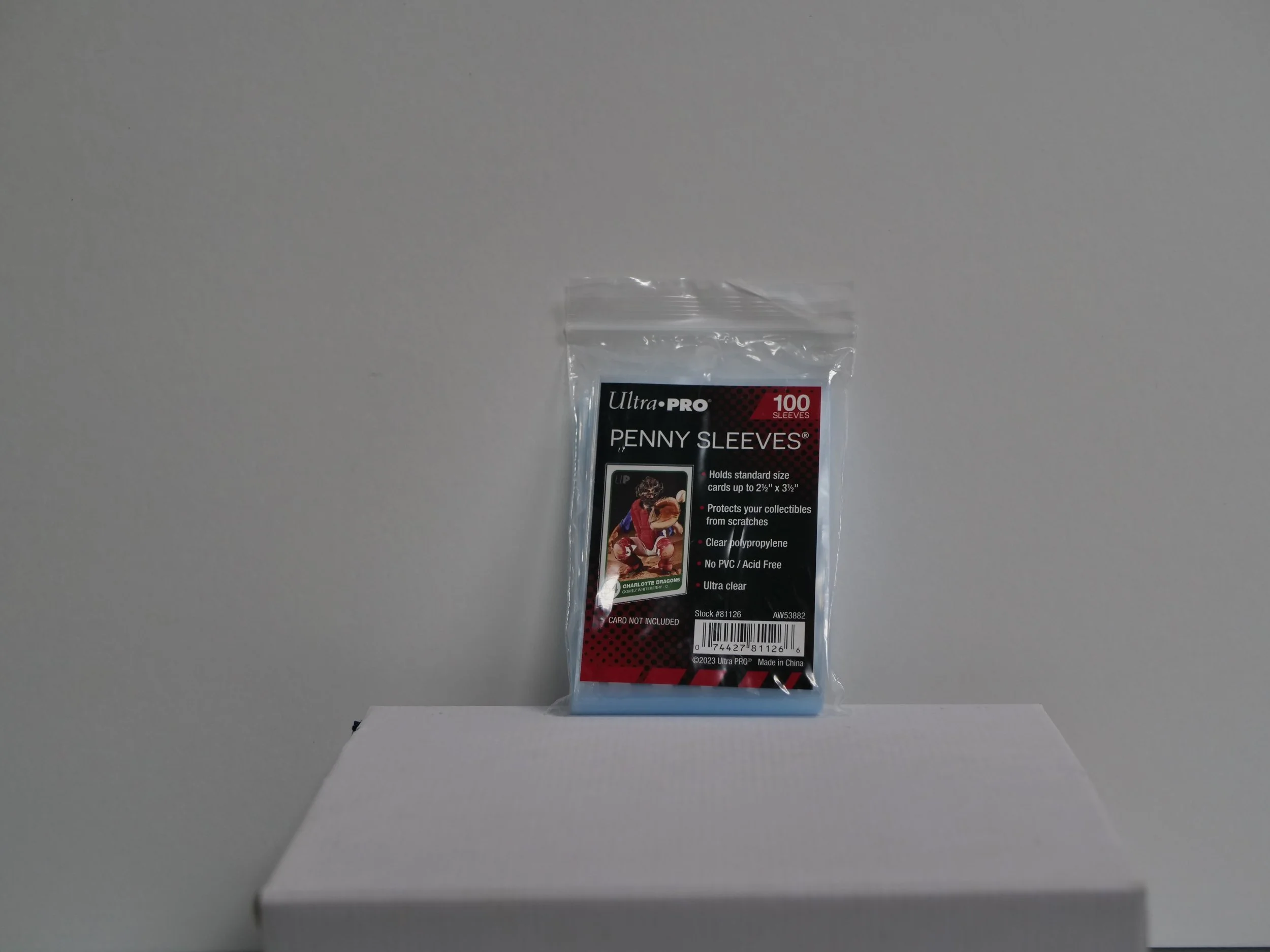 P1000930.JPG