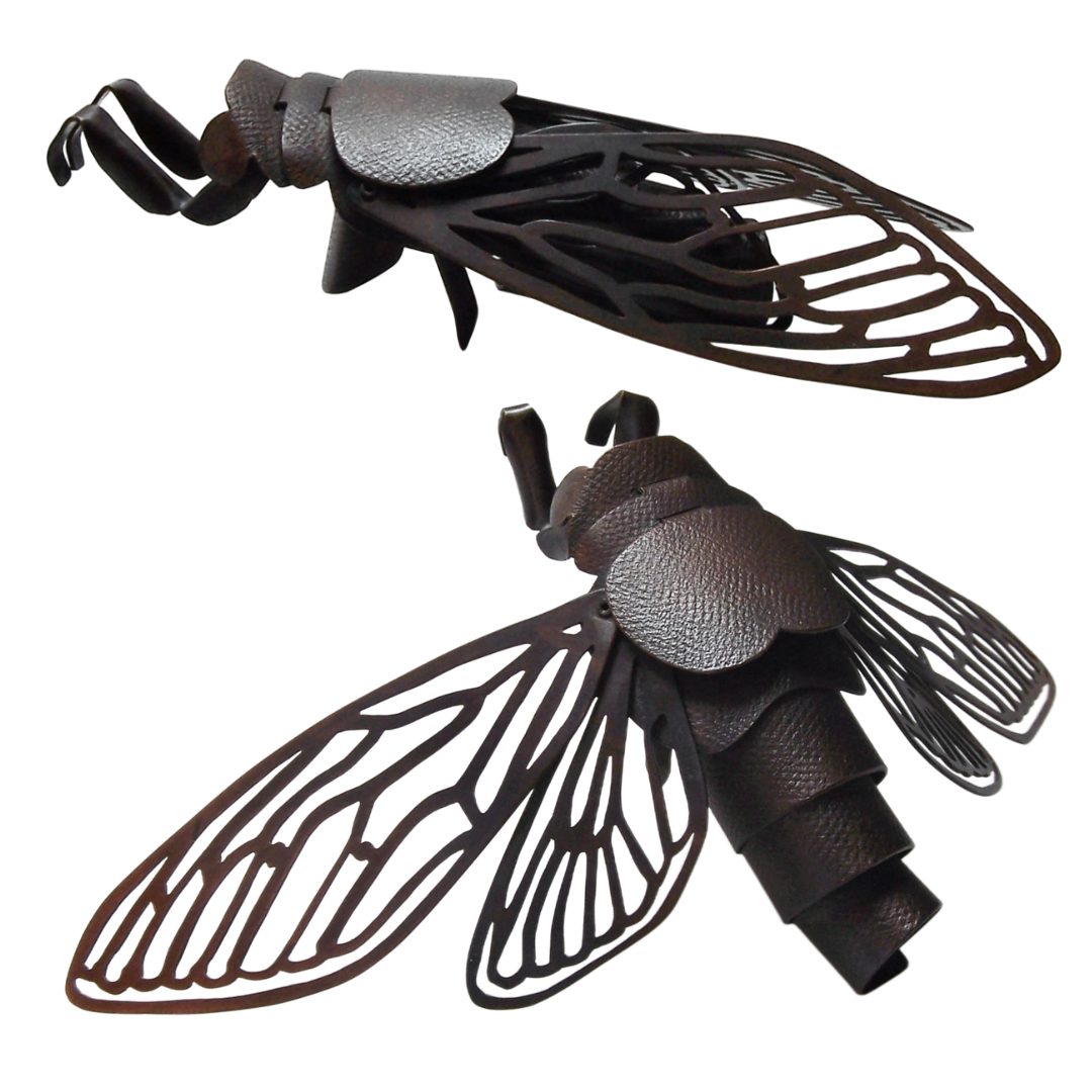 Cold Work Cicada
