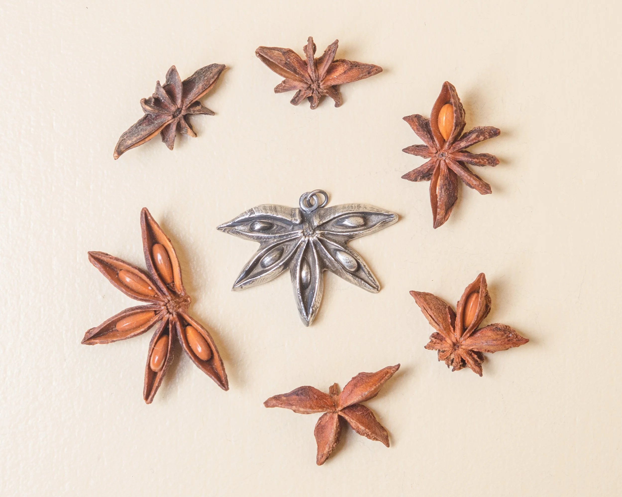 Handcrafted sterling silver star anise talisman necklace surrounded by natural star anise pods, artisan jewelry from Moonlit Manor.