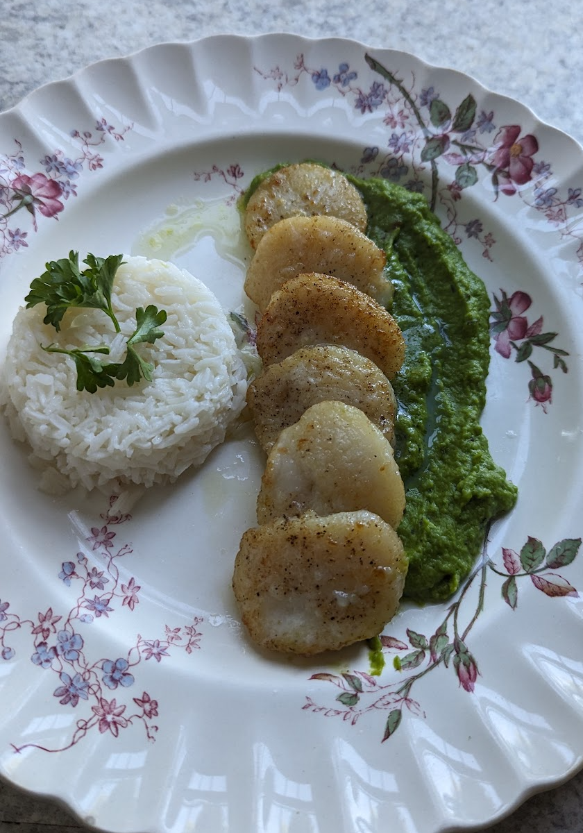 Screen Shot 2025-12-04 at 11.33.14 AM.png