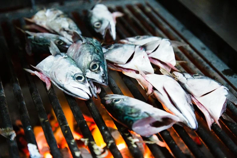 Muse - Fish on the grill.jpg