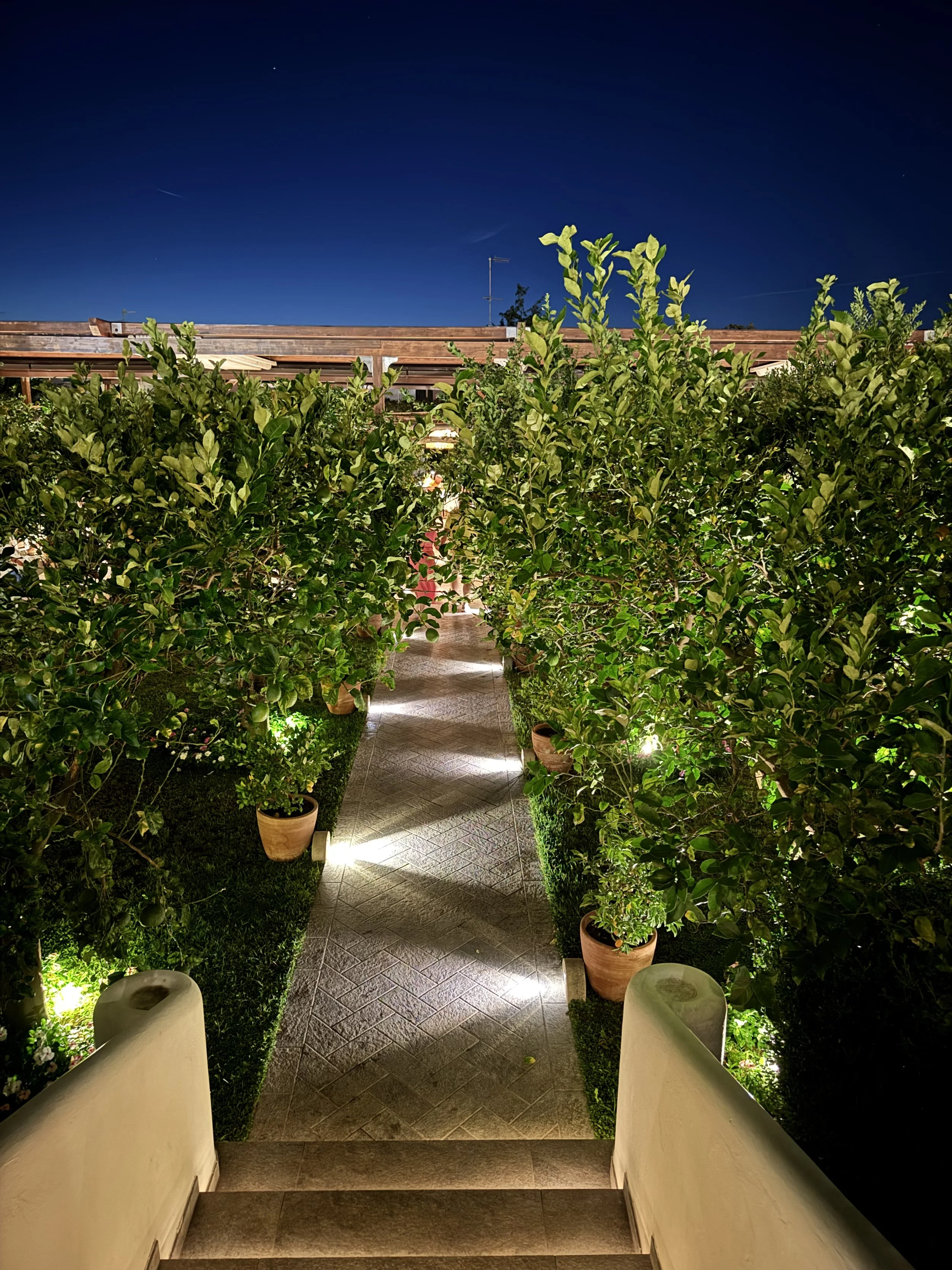 Romantic Dinner by Lemon Groves in Capri Italy | Go by Lidija