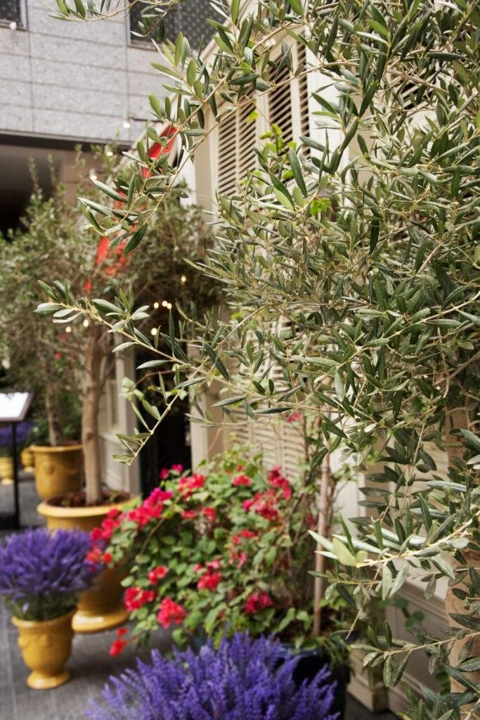 la petite maison-7.jpg