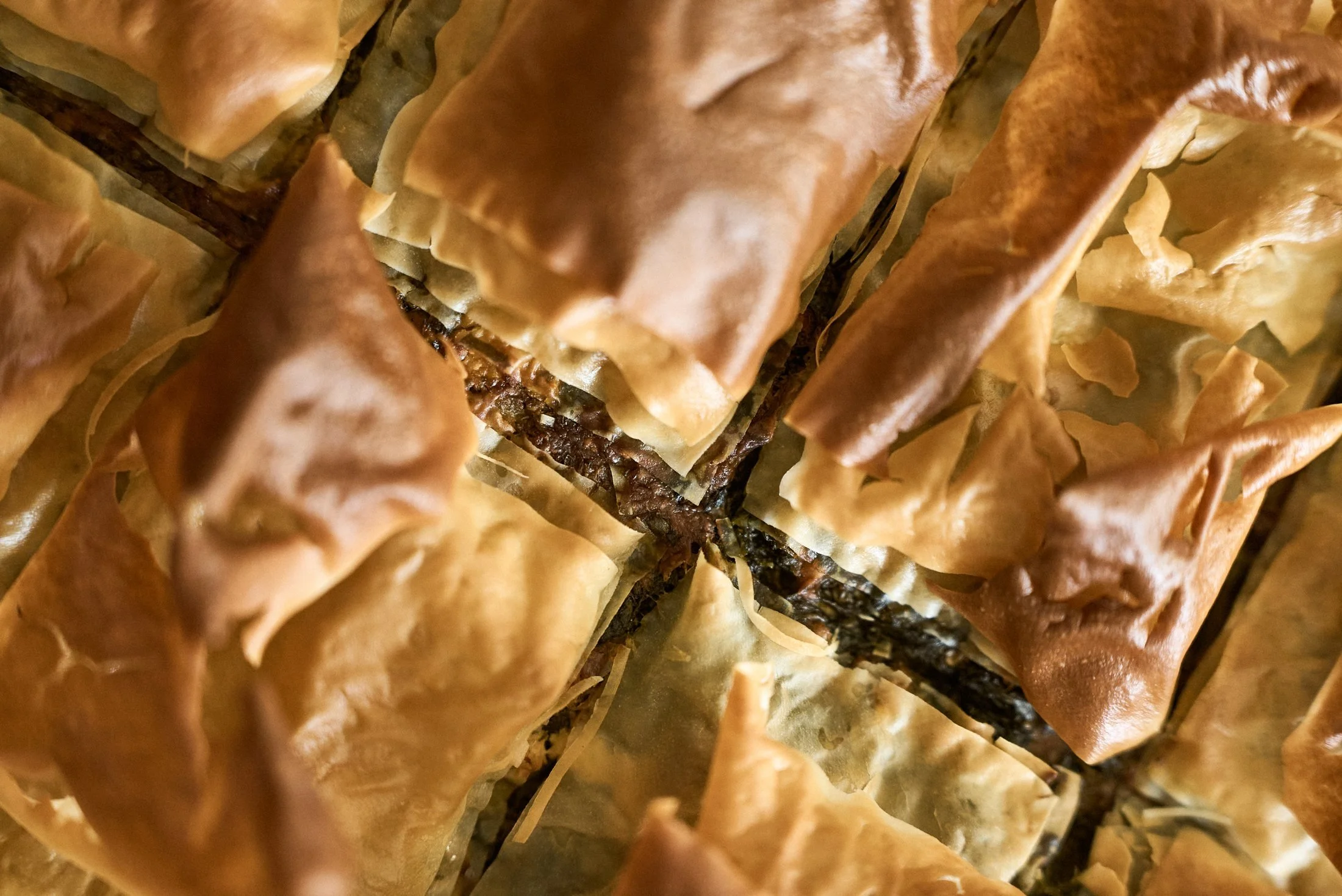 spanakopita closeup.jpg