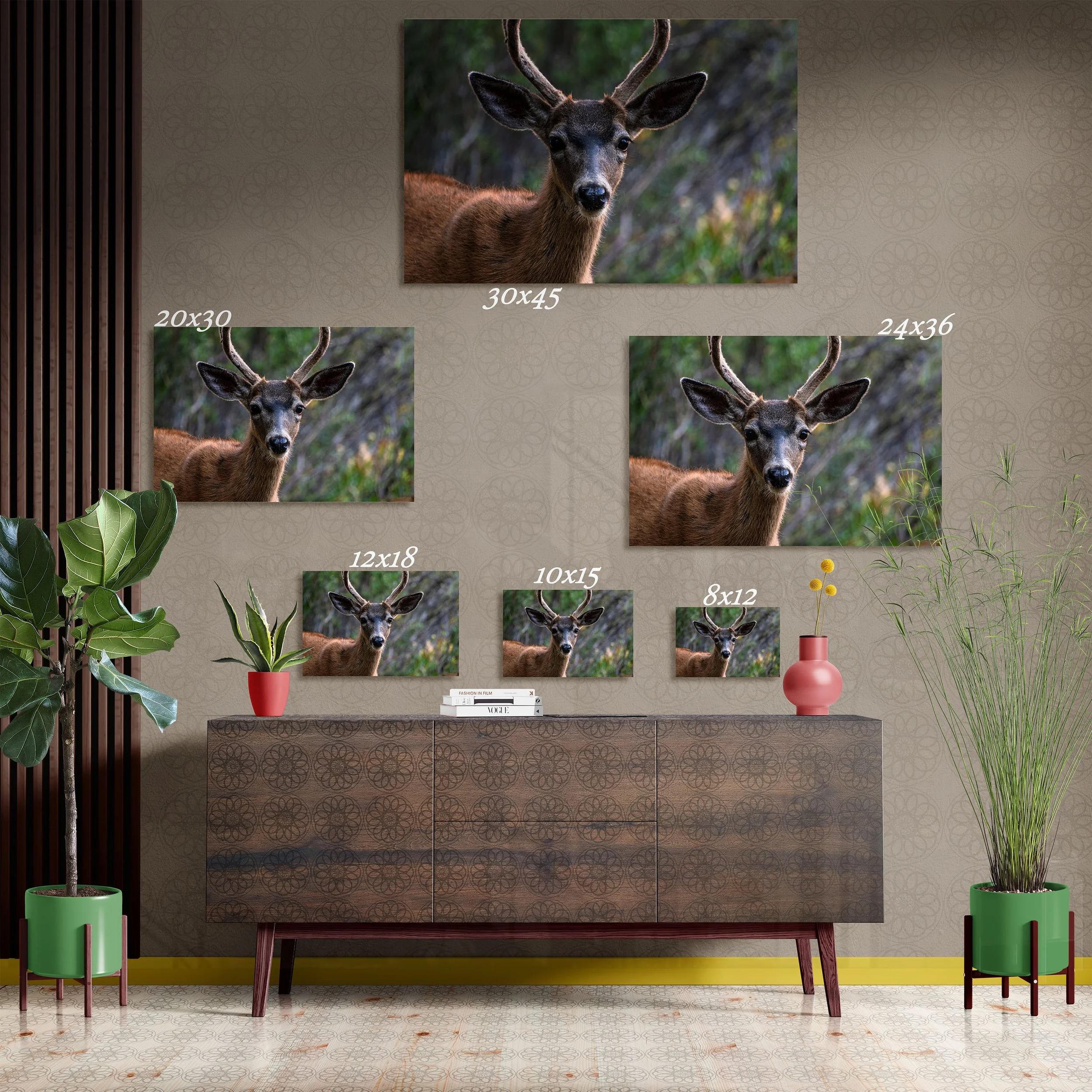Buck at Trumbull Lake - Fine Art Print