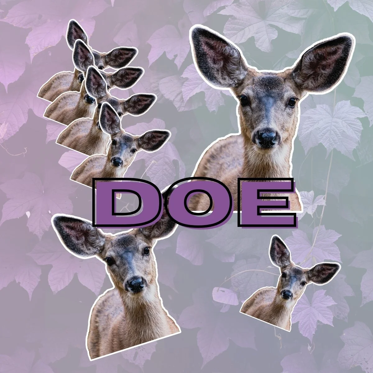 🦌 Mule Deer Stickers