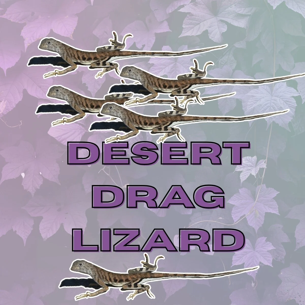 Desert Lizard Stickers