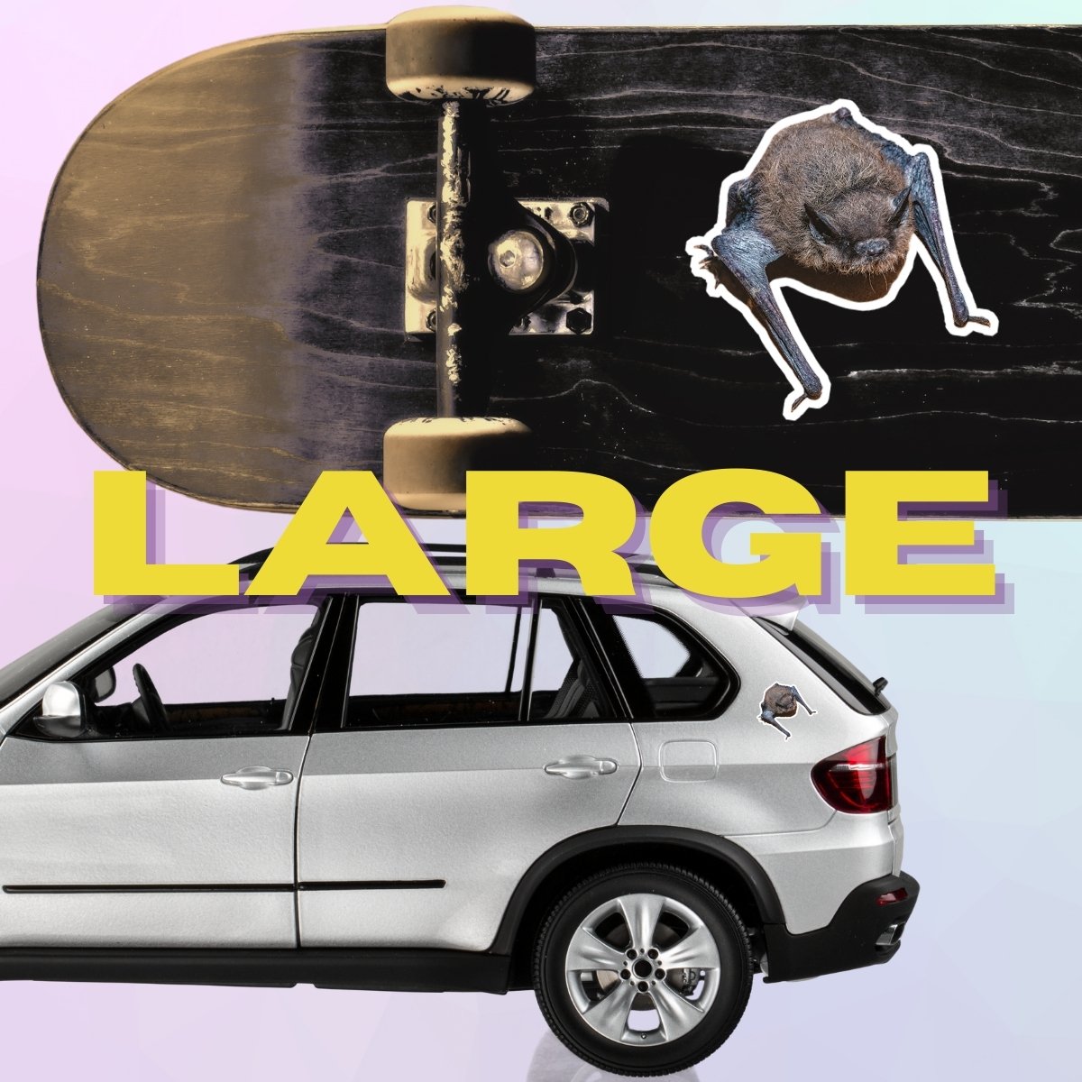 Large Single (2).jpg