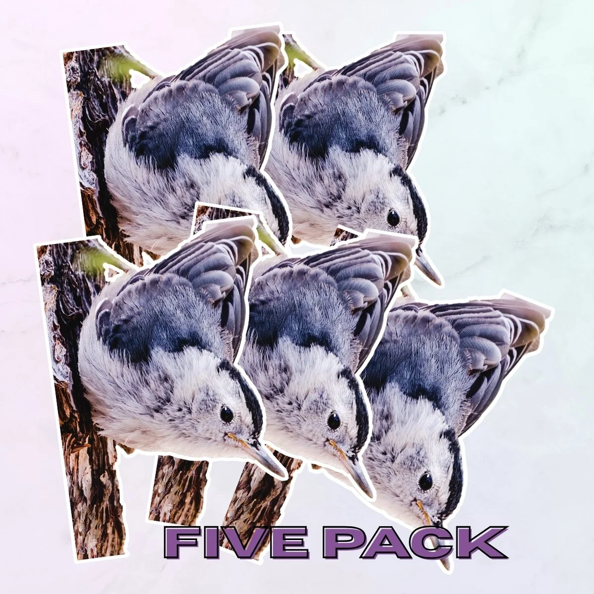 Large 5Pk.jpg