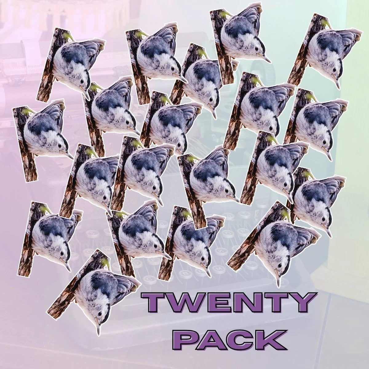 Small 20Pk.jpg