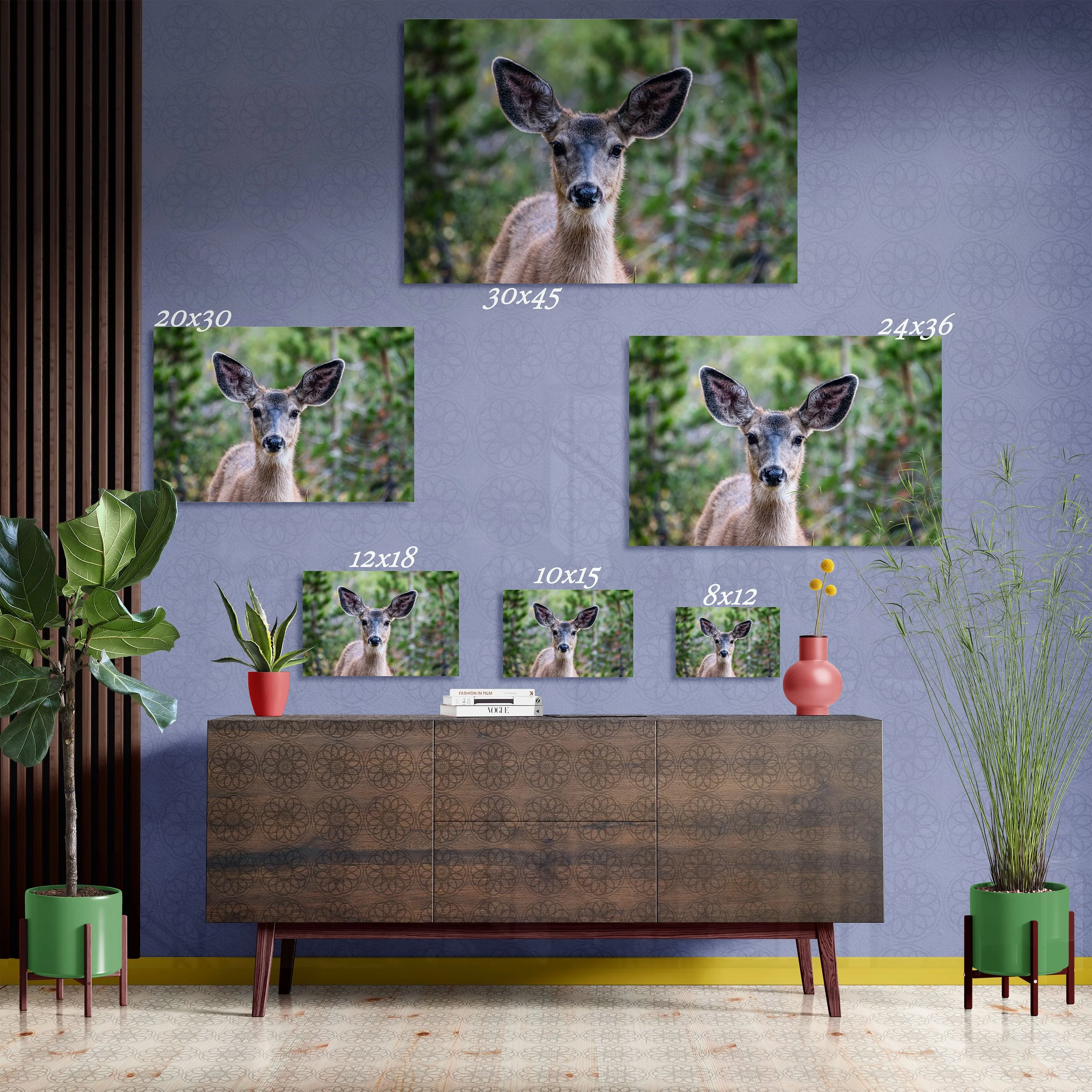 Doe at Trumbull Lake - Fine Art Print