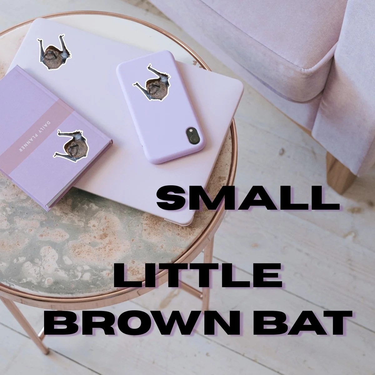 Small Single (2).jpg